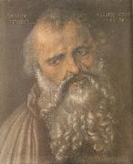 Albrecht Durer Head of the Apostle Philip oil painting artist